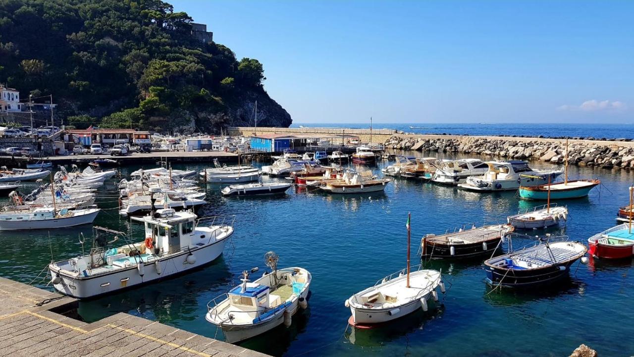 Relais Del Mare Con Terrazza Fronte Mare Free Parking Lägenhet Massa Lubrense Exteriör bild